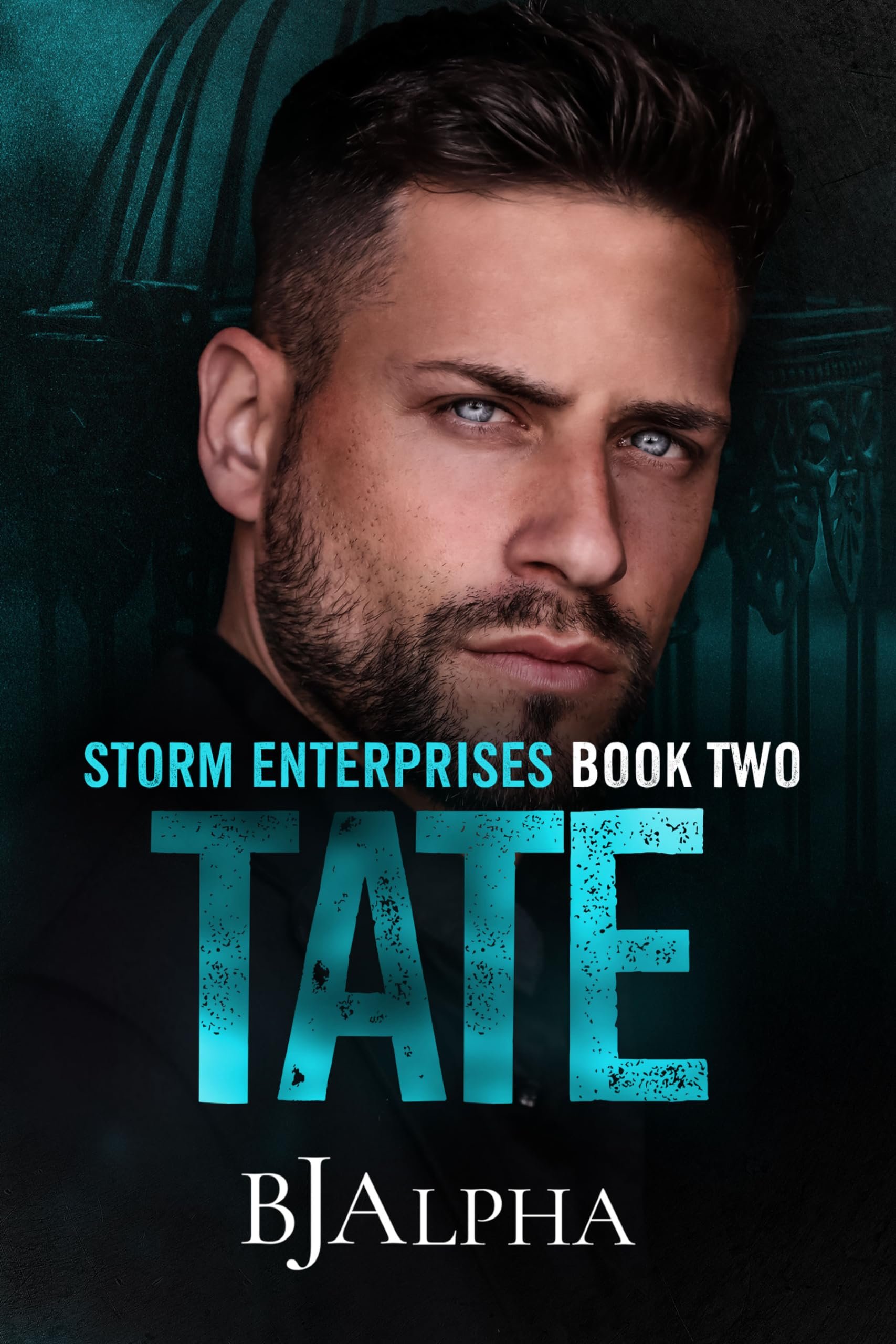 TATE: STORM ENTERPRISES BOOK 2 Cover